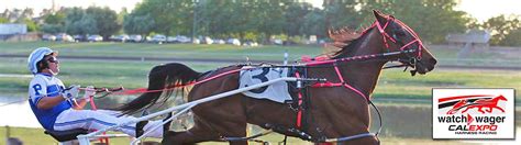 cal expo harness results|Live Racing • Video Replays – Cal Expo .